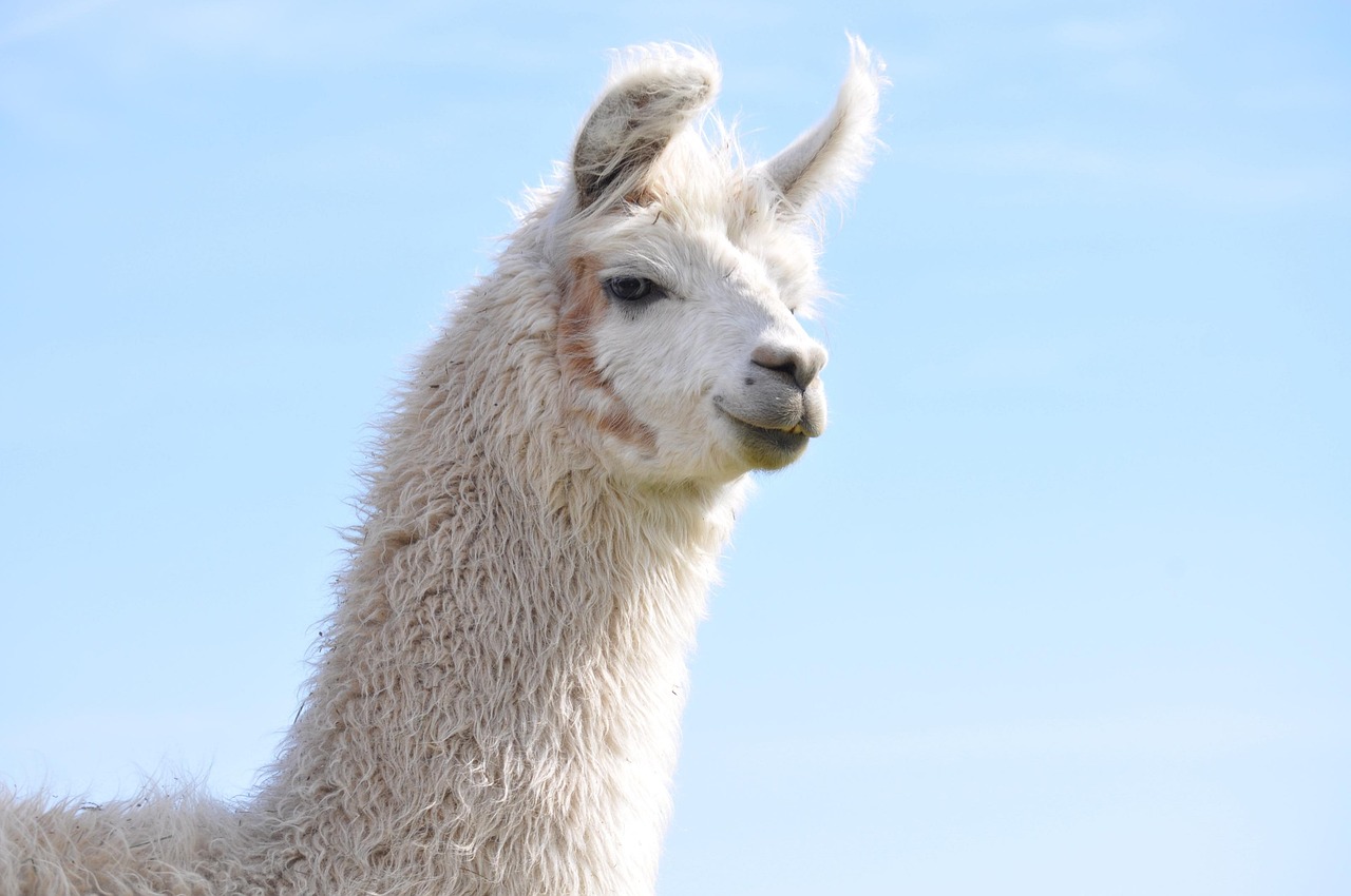 波音开户平台网站登录