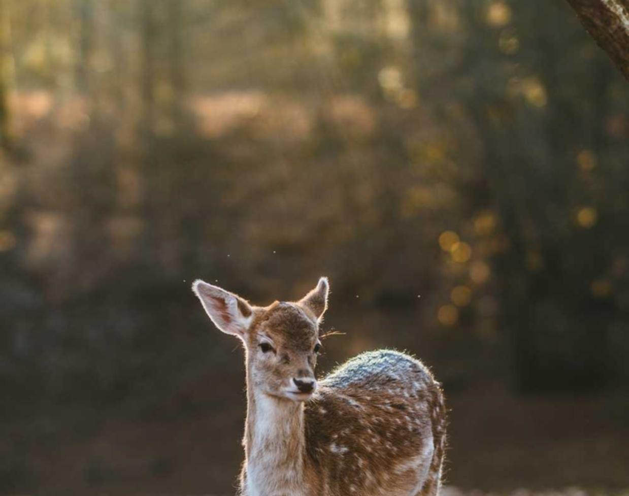 和天下娱乐,注册|代理注册内资公司注册