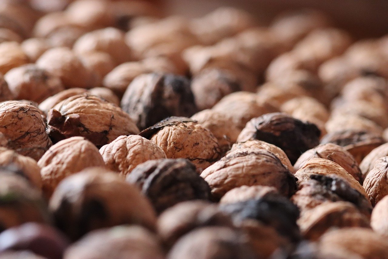 铁塔猫太阳橙子爆珠（粗）：归农app详情下载教程