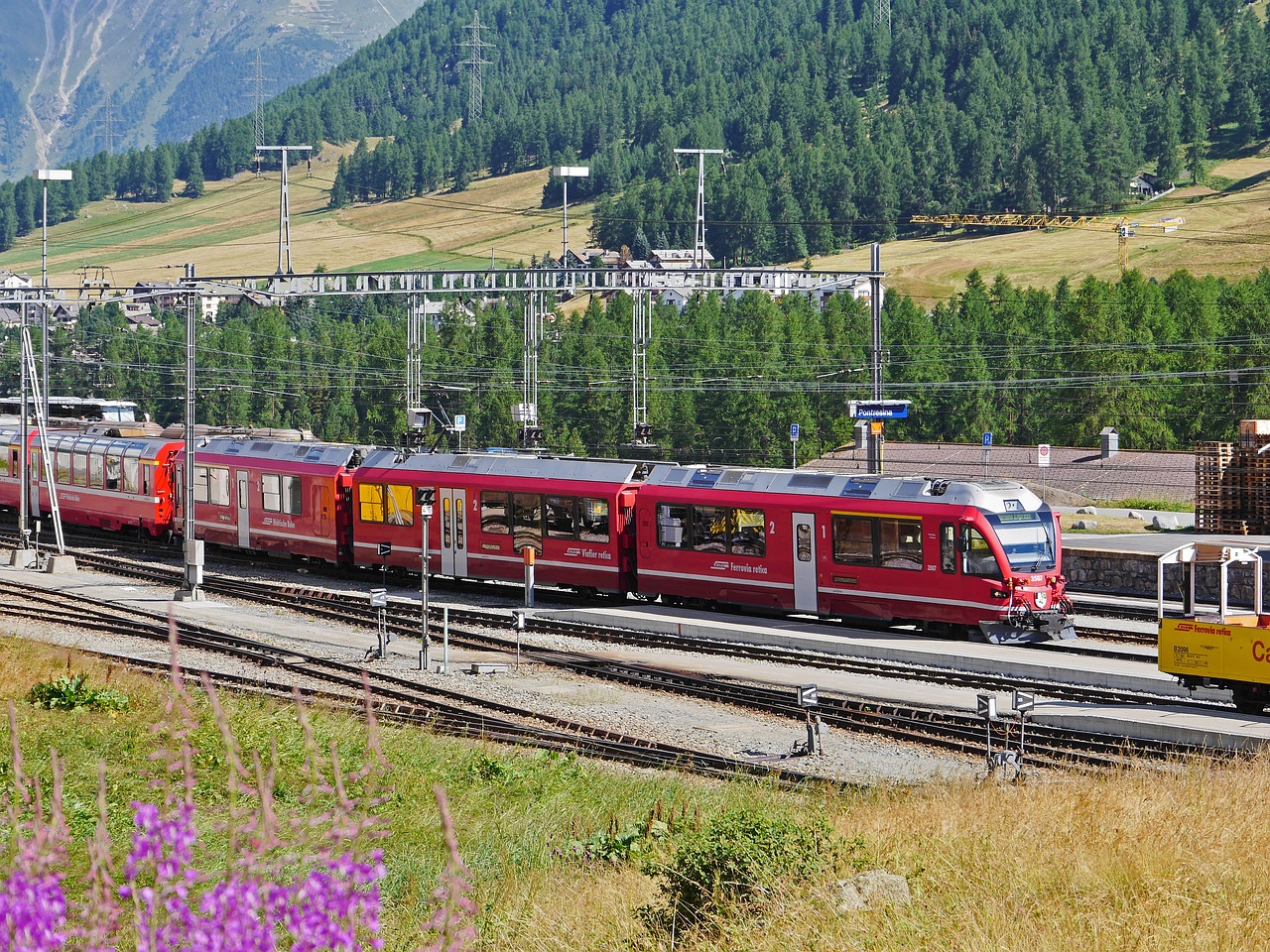 陌陌实名账号:上海注册公司代理记账多