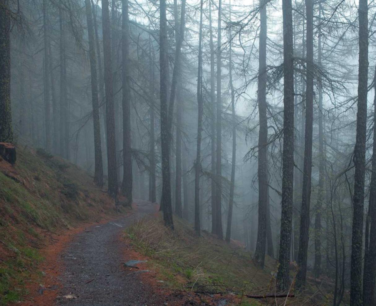 UDP攻击|域名公司注册代理