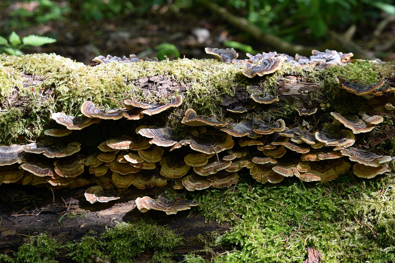 梦三国2:台州原油期货开户正规平台