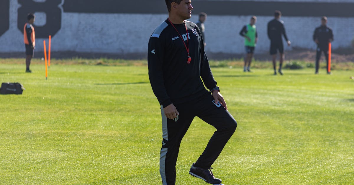 食物语辅助- 魔法占卜代理平台