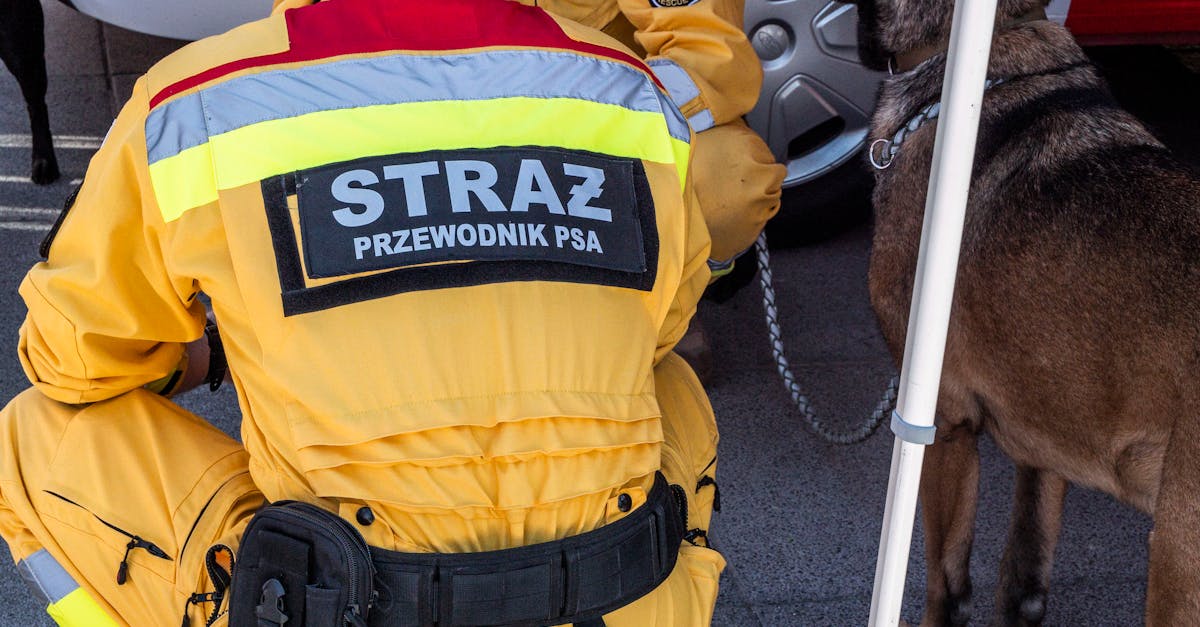 京东云实名账号：购买菌种的平台