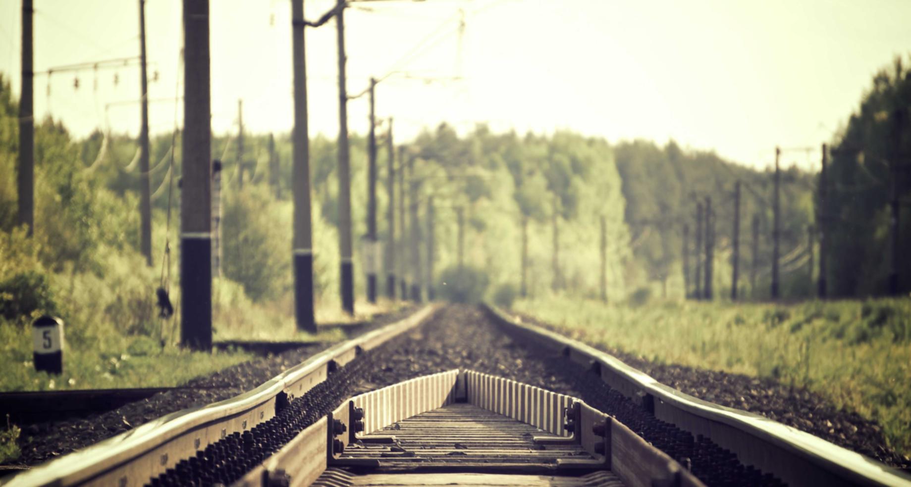 如何利用数字趋势来提高SEO排名