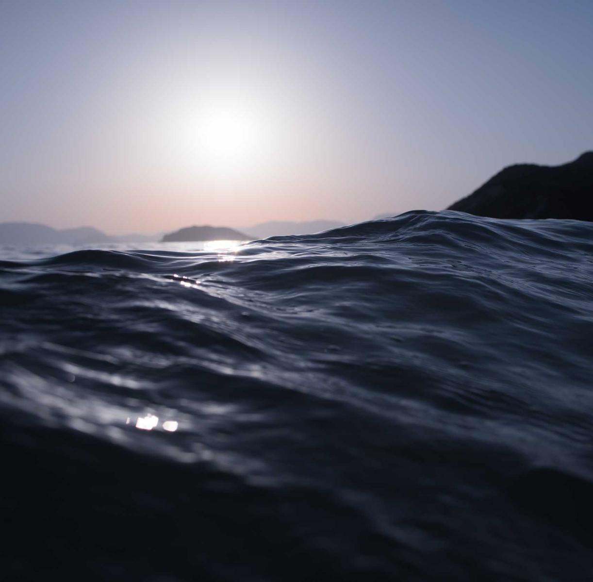 网络电话软件免费- 顺丰app 详情下载教程