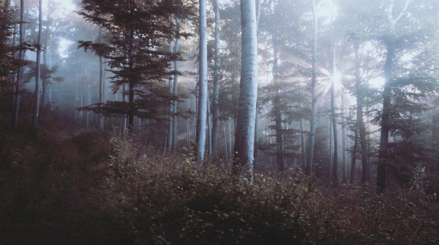 又拍云实名账号：配资开户找专业平台