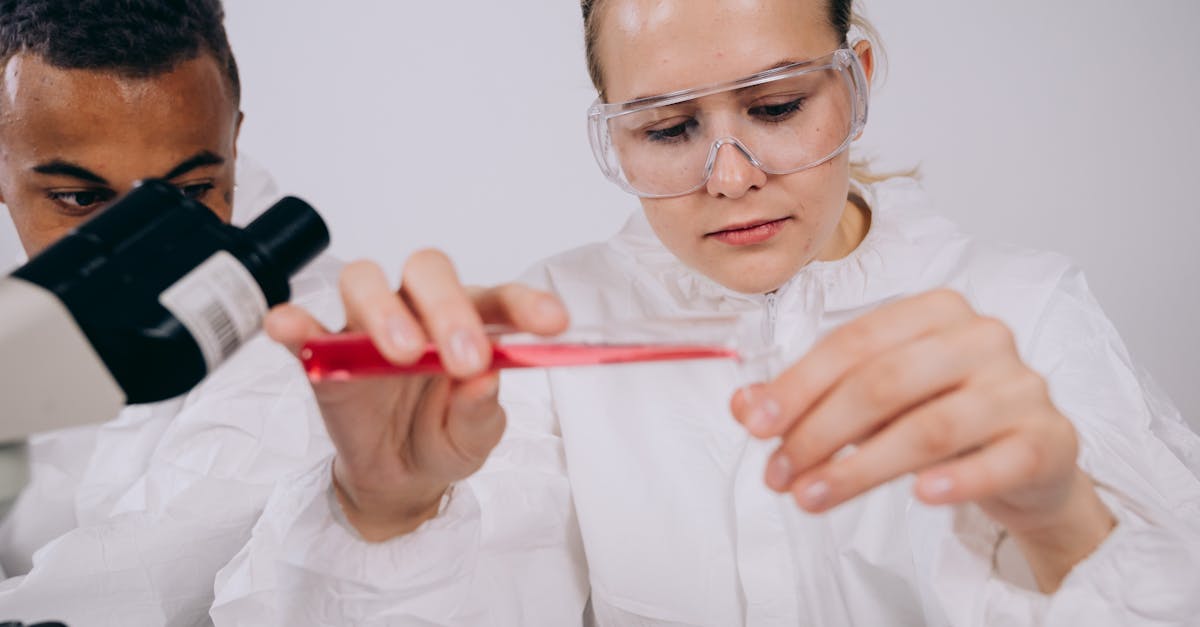 白号发卡网：南湖国旅app详情下载教程