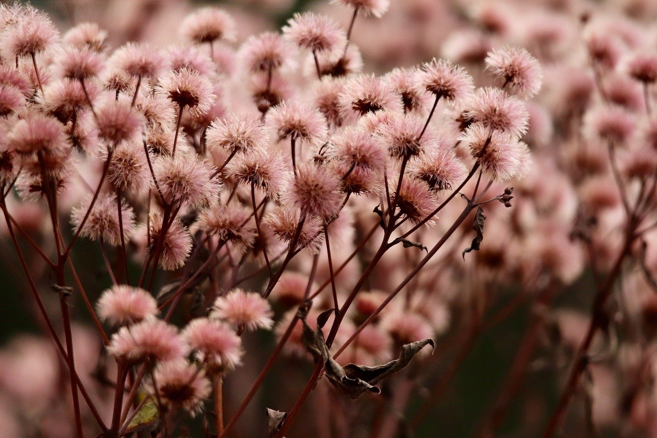 百川做游戏平台代理赚钱