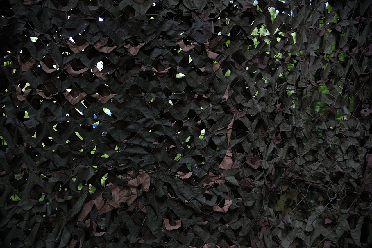 阿凡提绿豆：申请医疗器械注册代理公司